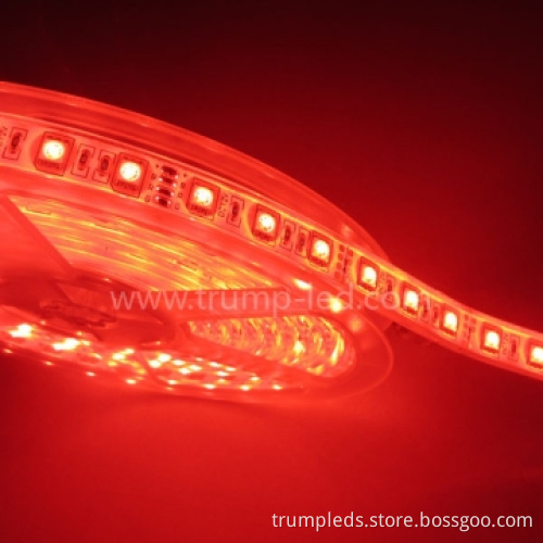 2011 Best Price Flexible 5050 RGB Waterproof LED Strip